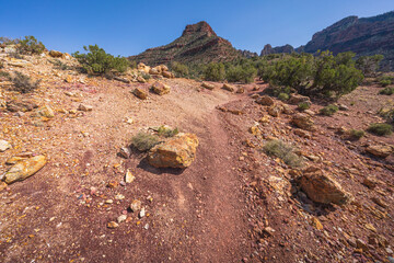 hiking the grandview trail in the grand canyon national park, arizona, usa