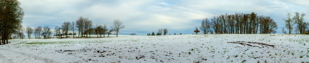 winter landscape - field and trees