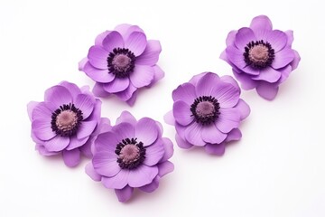  a group of purple flowers sitting next to each other on top of a white surface with one purple flower in the middle of the group and the other purple flowers in the middle.