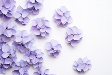  a bunch of purple flowers laying on top of each other on top of a white surface with one flower in the middle of the picture and one flower in the middle of the petals.