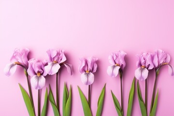  a group of pink flowers with green leaves on a pink background with a place for a text or an image with a place for a place for your own text.