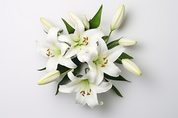  a bouquet of white lilies with green leaves on a white background with a place for the text on the top of the bouquet is a white background with a white background.
