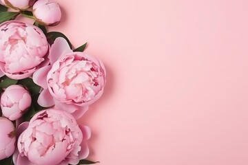  a bouquet of pink peonies on a pink background with a place for a text or an image with a place for a text on the left side of the peonies.
