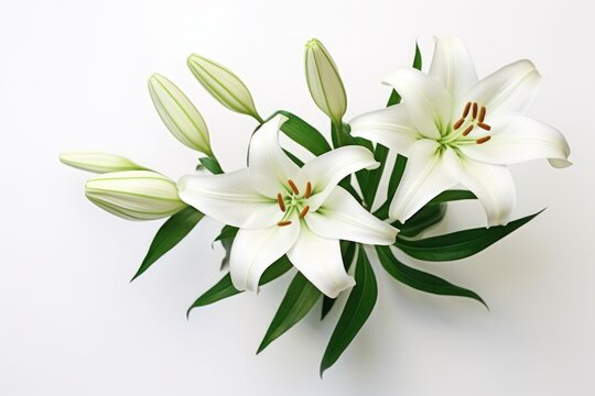  a bouquet of white lilies with green leaves on a white background with copy - space for a text or a logo on the bottom right side of the image.