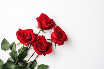  a bunch of red roses sitting on top of a white table next to a green leafy plant on top of a white table top of a white surface with a white background.