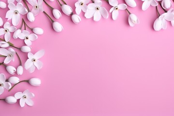 Fototapeta na wymiar a bunch of white flowers on a pink background with space for a text or an image of a bouquet of white flowers on a pink background with space for text.