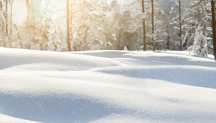 Fototapeta na wymiar Winter wonderland: Snow-covered landscape with trees under bright sun