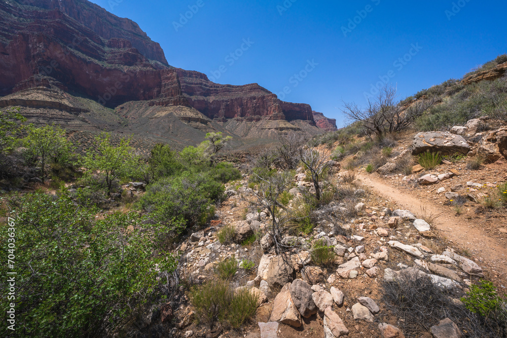 Wall mural hiking the tonto trail in the grand canyon national park, arizona, usa