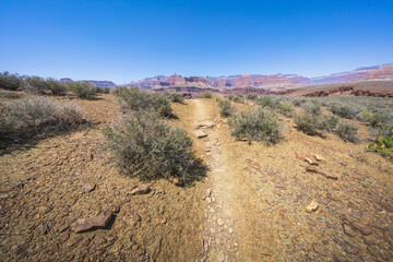 hiking the tonto trail in the grand canyon national park, arizona, usa