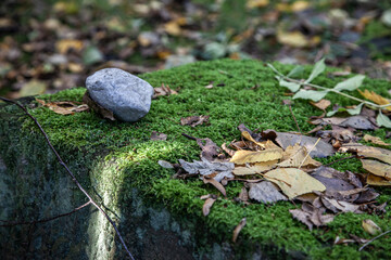 Detail on a Grave of the old Jewish Cemetery in Hamburg Altona