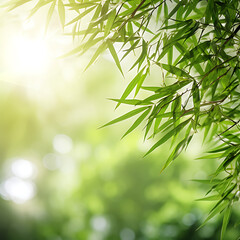 Fresh green bamboo leaves frame against a blurred sunny backdrop, creating a nature scene with Asian spirit and ample copy space