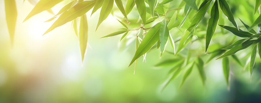 Fresh green bamboo leaves frame against a blurred sunny backdrop, creating a nature scene with Asian spirit and ample copy space