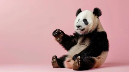 Fotobehang Funny panda on a pink background with space for your text © Alina Zavhorodnii