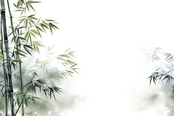 Green bamboo leaves and branches with white background