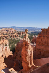 A rock hoodo stands over a canyon full of coniferous trees.