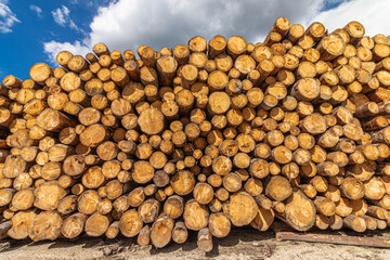 Stack of logs