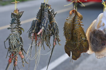Street Market Catch,  Close up of Lobster on Display with Blurred Background, Ready for Sale.