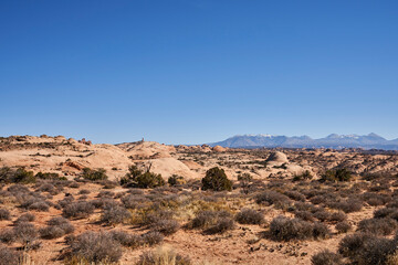 Fototapeta na wymiar A sprawling array of petrified rock dunes. The la sal mountain range can be seen in the background.