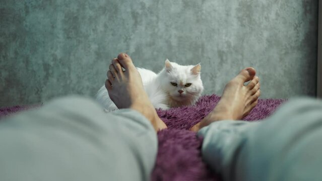 The Cat Lies Near The Owner's Feet In The Bed. A Man Is Relaxing On A Sofa Or Bed With His Cat.