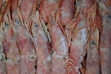 close-up of whole frozen shrimp in their shells 