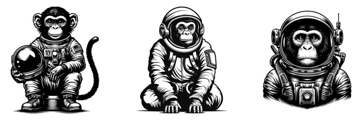 Set of monkey astronaut, vector illustration. - obrazy, fototapety, plakaty