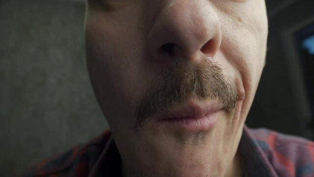 Close-up of the mouth of a funny mustachioed man eating a slice of cheese. Wide angle video of a portrait of a scruffy man. Macro shot of an ugly man biting and chewing cheese.