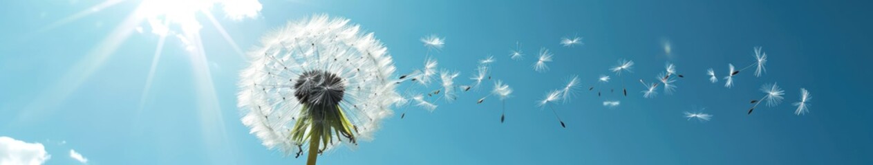 A dandelion with fluttering seeds in a windy sky.
