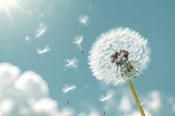 A dandelion with fluttering seeds in a windy sky.