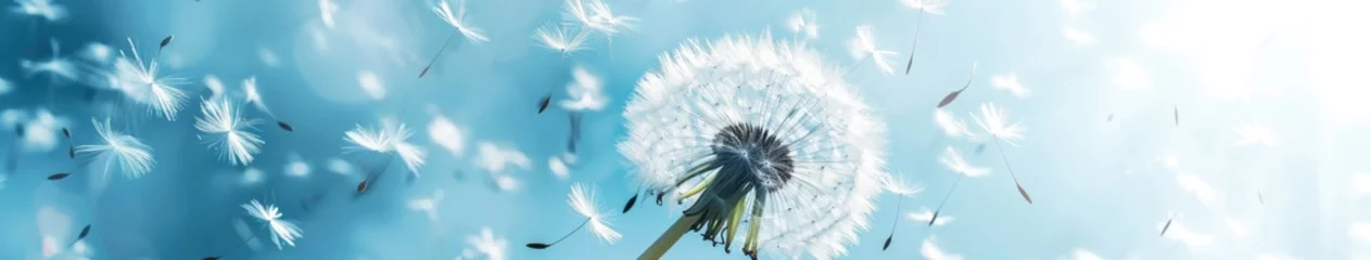 Fotobehang A dandelion with fluttering seeds in a windy sky. © BrandwayArt