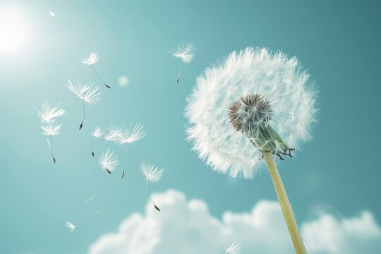 A dandelion with fluttering seeds in a windy sky