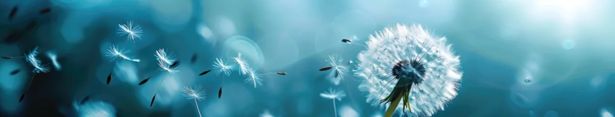 Foto op Canvas A windy sky dandelion with flying seeds © BrandwayArt