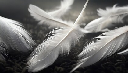group of light soft fluffy a white feathers flolating in the dark black ground abstract feather freedom floating