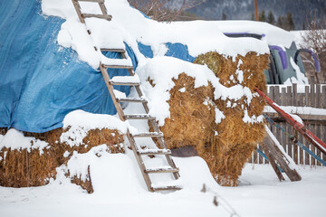 Haystack under the snow in the village. Bakuriani