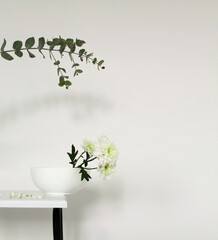 White chrysanthemums flower with eucalyptus leaf and interior wall. Minimalist still life. Light and shadow nature horizontal  copy space background.