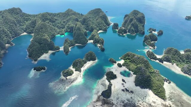 Scenic limestone islands, fringed by coral reefs, rise from the amazing seascape in Raja Ampat, Indonesia. These islands' reefs, and the surrounding seas, support extraordinary marine biodiversity.