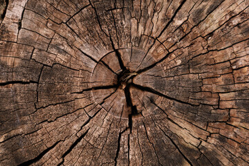 Drewno tło, tekstura 