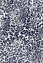 Leopard, panther, wild cat texture pattern
