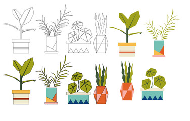 Fototapeta na wymiar Simple plants with leaves in pots. Houseplants icon set