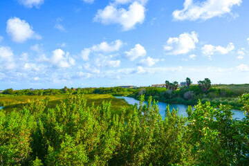 Bubali Pond Bird Sanctuary - Aruba's wetland preserve. 