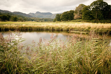 Langdale Pikes from the River Brathay, near Elterwater, Lake District, UK