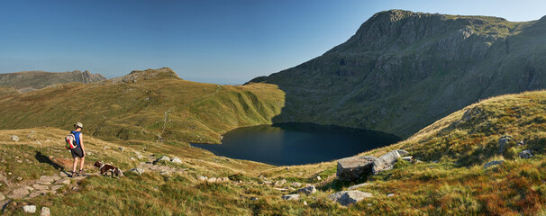 A hiker with dog descend towards Angle Tarn below Esk Pike, Lake District, UK