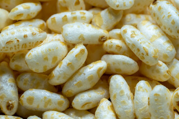 macrophotography of several puffed rice grains.