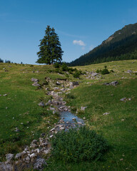 Small river flowing through the Karwendel mountains during sunny blue sky day in summer, Tyrol Austria. - 704097902