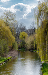 Rzeka Przemsza płynąca przez Park w Sosnowcu
