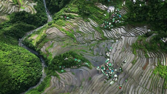 Aerial top view of picturesque Batad Rice Terraces in Ifugao Province, Luzon Island, Philippines, 4k