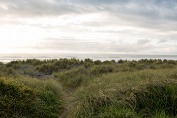 Fototapeta na wymiar Dunes at sunset - Westcoast of New Zealand - 04