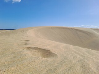 Footprints in the dunes
