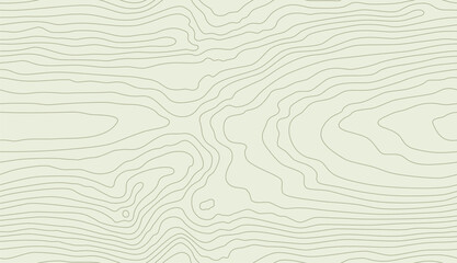 Seamless wooden pattern. Wood grain texture. Dense lines. White beige tree background. Vector illustration - 704103724