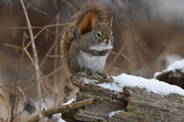 La Plaine 6 Janvier 2024