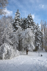 Winter Landscape of South Park in city of Sofia, Bulgaria